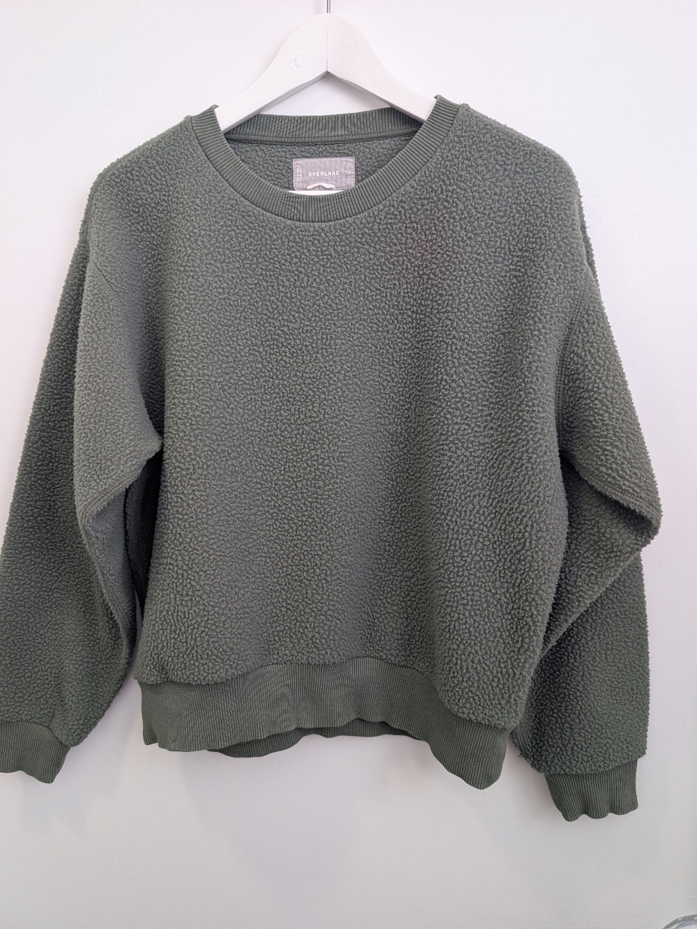 Everlane Renew Teddy Fleece Pullover Sweatshirt Moss Green Size Small
